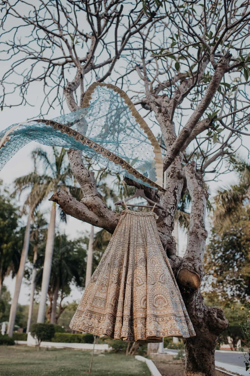 Bride beneath a tree, dupatta lifting in the wind